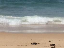 12787988_10153993234846913_1658572408_n