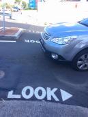 12801523_10154000958321913_3941824577871621103_n