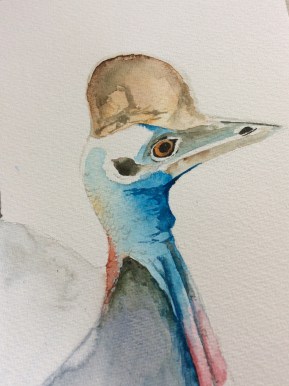 Cassowary